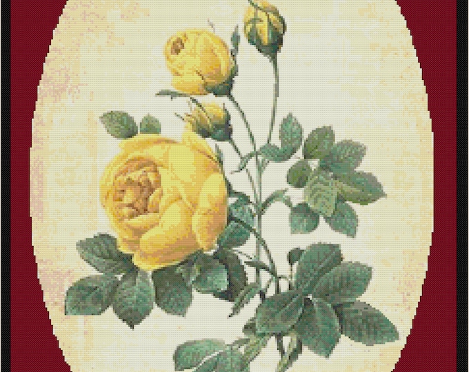 YELLOW ROSE - FRIENDSHIP ...  Cross Stitch / Needlepoint Pattern (approx.11"x 16")(Enlarged B&W and Color Charts with Key) Botanicals