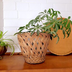 May include: A woven wicker plant pot in a light brown colour. The pot is filled with a green leafy plant. The pot is sitting on a wooden shelf.