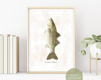 Striped Bass: Printable Wall Art, Digital Art Print Download, Fish Art Print and Decor, Wall Decor