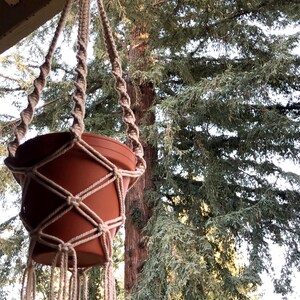 Single pot plant hanger / boho decor / garden / gift
