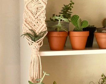 Air plant macrame wall hanger / Wall Decor / Boho decor