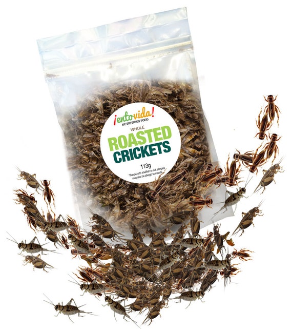 Edible Insects Whole Roasted Crickets Etsy