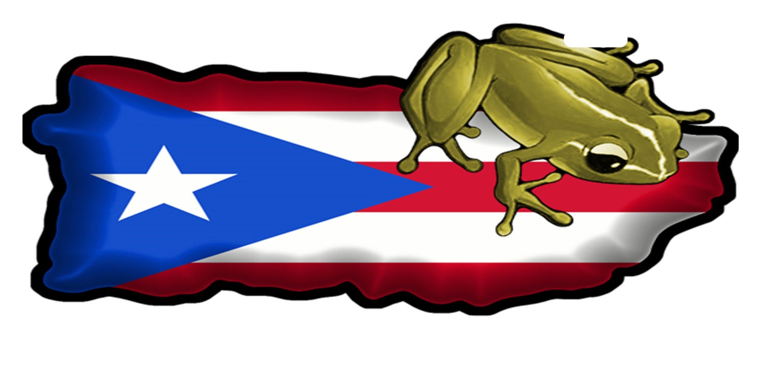 Puerto Rico Flag COROZAL License Plate PR Boricua Emblem