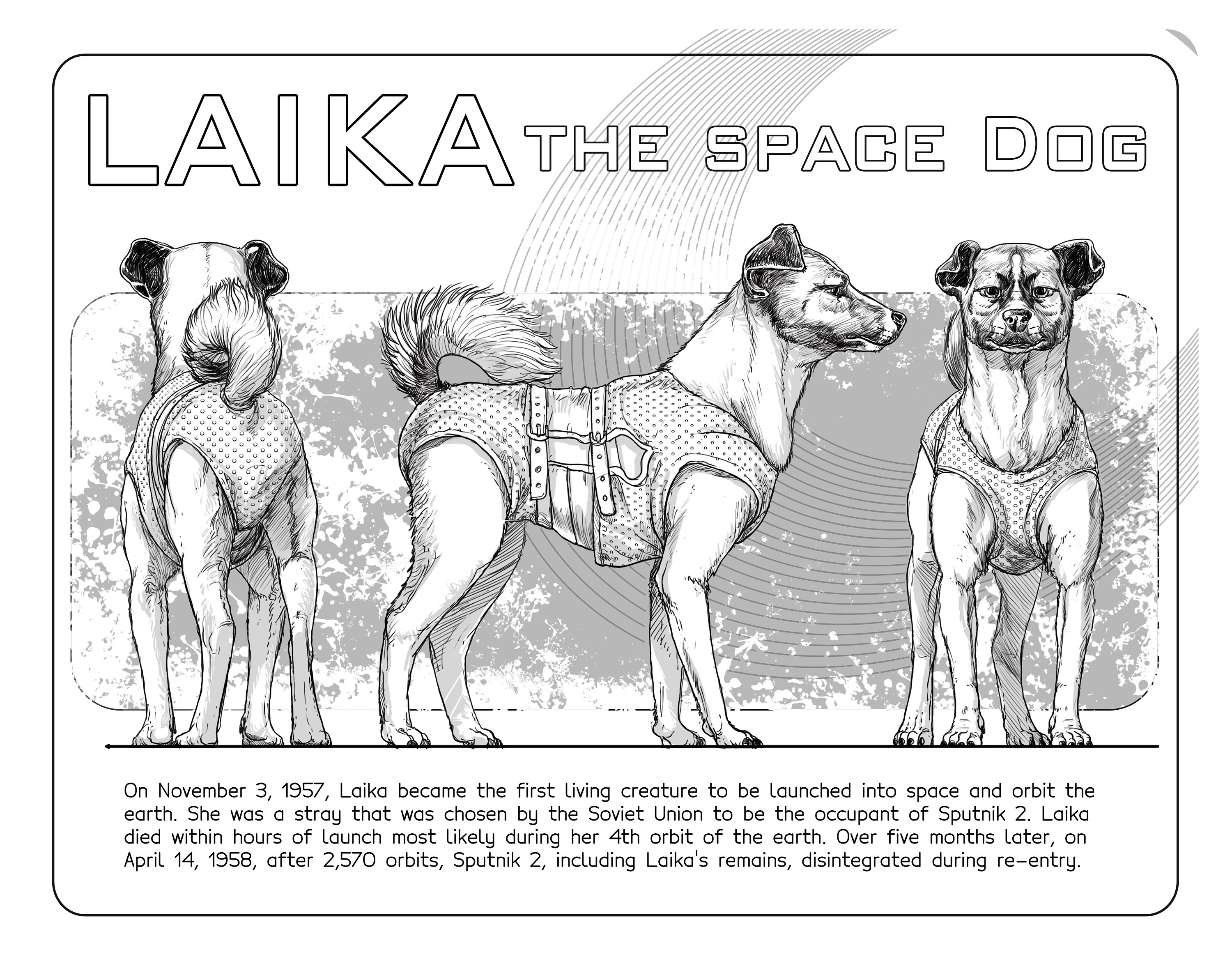 how long did laika live in space