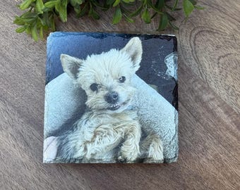 Slate Photo Coasters, Dog Photo Gift, UV Printed Pet Memory Gift, Vacation Photo Set of 2 or 4