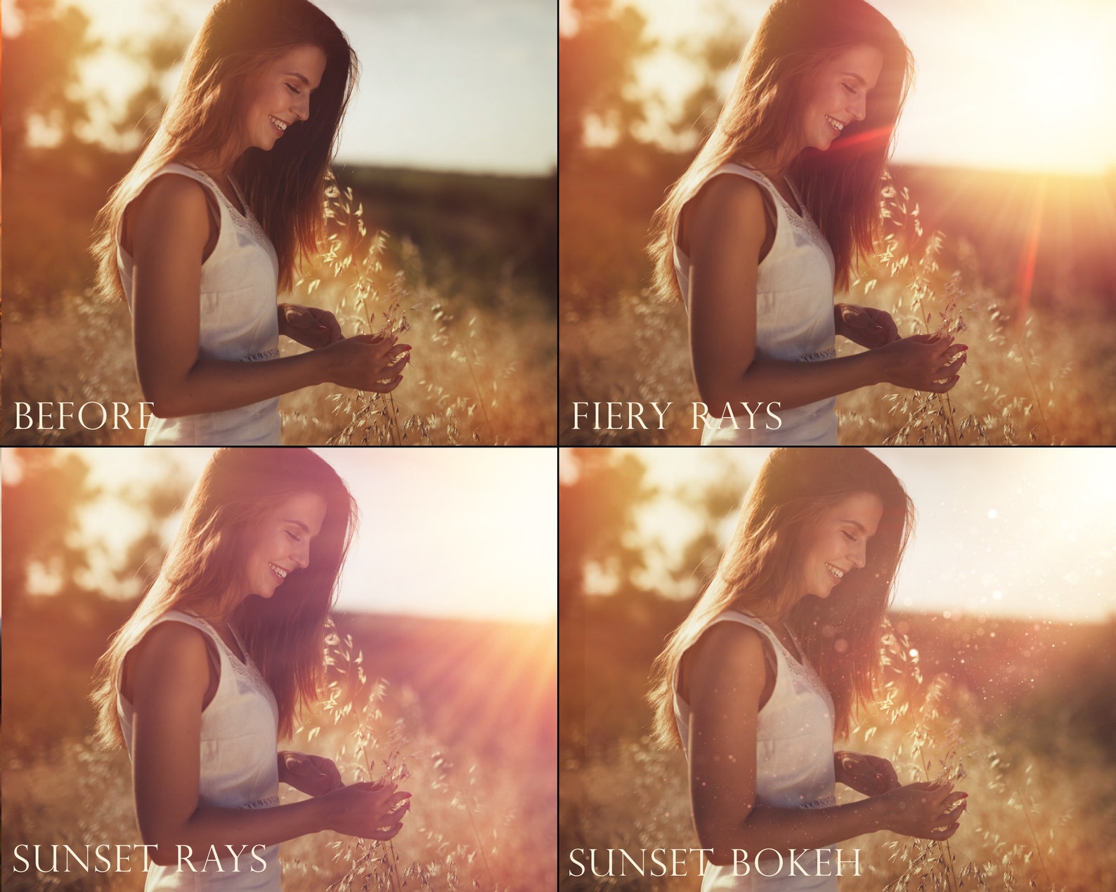 Sunset Overlays, Sunlight Overlays, Sunset Light, Golden Light, Sun Beams, Sun Rays,