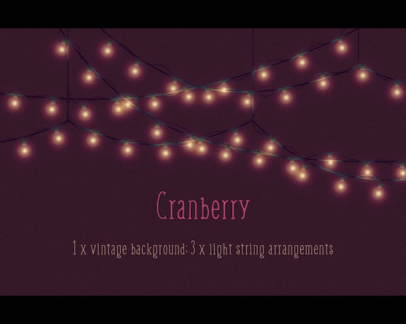 Vintage fairy sale lights