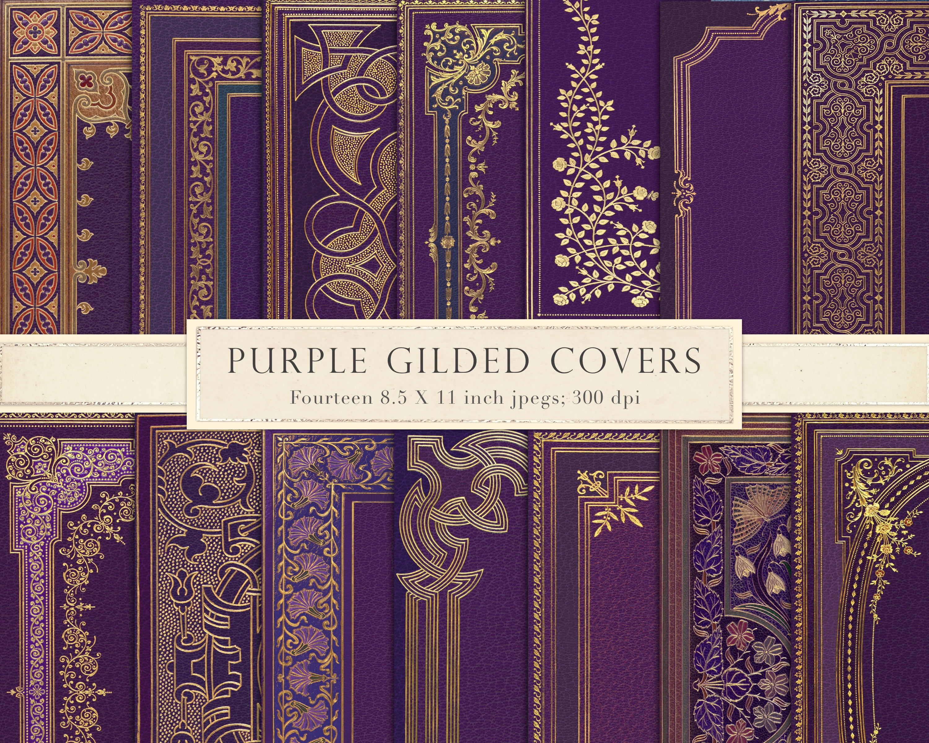 Gilded Metallic Paper Gold • Kind Words • 11536-15M • Half Yard - Purple  Daisies Quilting