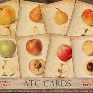 Cartes ATC botaniques imprimables, fruits aquarelles, feuilles de collage, journal indésirable, cartes à collectionner, imprimable, pomme, pêche, poire, vieilli, TÉLÉCHARGER