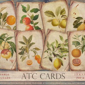 Fruit ATC cards, vintage botanical, citrus, oranges, lemons, peach, junk journal, collage sheets, trading cards, printable, shabby, DOWNLOAD
