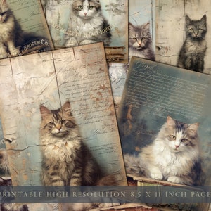 Journal indésirable de chats, chats vintage, page de journal de chat, éphémères de chat, papier numérique, minable, peinture, chat drôle, Français, feuille de collage, TÉLÉCHARGER
