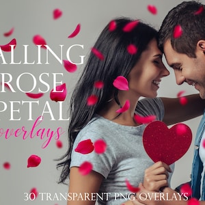 May include: A couple are standing close together, with rose petals falling around them. The woman is holding a red heart-shaped object. The text "Falling Rose Petal Overlays" and "30 Transparent PNG Overlays" is visible at the bottom of the image.