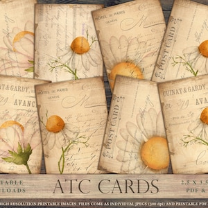 Daisy ATC card, daisy junk journal, daisies, daisy, yellow flowers, vintage, collage sheets, digital trading cards, art cards, DOWNLOAD