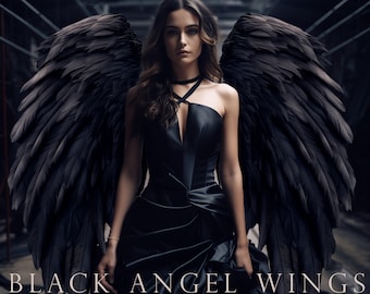 Black angel wings overlay, transparent png, black wings overlay, costume wings, black feathers, photoshop overlay, dark angel, DOWNLOAD