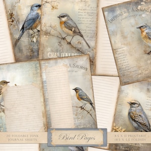 Journal de ferraille d’oiseau, papier doublé d’oiseau, pages de journal imprimables, pages de collage, feuille de collage, oiseau vintage, pliable, imprimable, TÉLÉCHARGEMENT