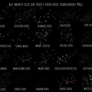 Spring Photoshop Overlays, Dandelion Seeds, Overlay, Dandelion Overlays ...