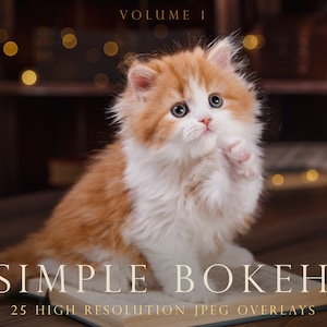 Simple bokeh overlays, minimal bokeh overlays, photoshop overlays, bokeh overlays, subtle bokeh, bokeh filters, gold, light, string, DIGITAL