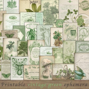 Kit de journal vert poubelle, éphémère vert vintage, verdure, Saint-Patrick, trèfle, femme victorienne, plantes tropicales, feuilles, TÉLÉCHARGER