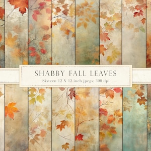Puede incluir: Dieciséis fondos de papel digital con hojas de otoño en tonos naranja, amarillo y rojo sobre un fondo texturizado y descolorido. Los papeles miden 12 x 12 pulgadas y 300 dpi. "Shabby Fall Leaves" está escrito en una pancarta blanca en la parte superior de la imagen.