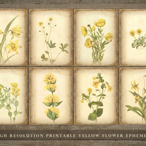Gele bloem ephemera, bloemen junk journal, gele bloemen, narcissen, afdrukbare kaarten, thuis afdrukken, junk journal sheets, kaarten, DOWNLOAD