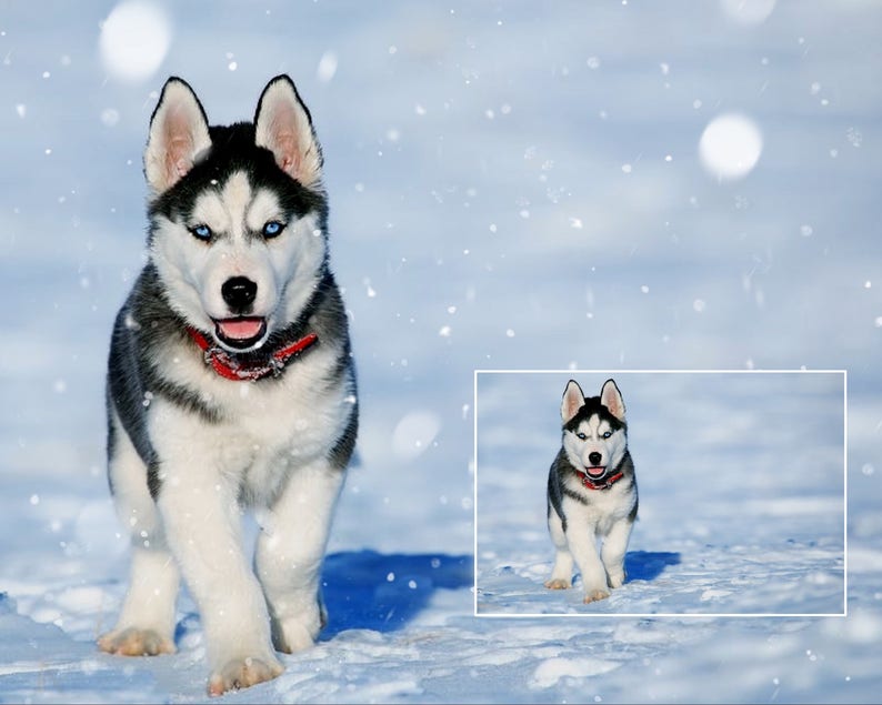transparent easy realistic Snow overlay overlays snow winter overlay snowfall Christmas overlay photoshop falling snow overlay