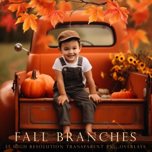 Fall branch overlays, autumn branch overlays, fall branch overlay, fall leaf overlays, fall tree overlay, photoshop overlay, harvest overlay