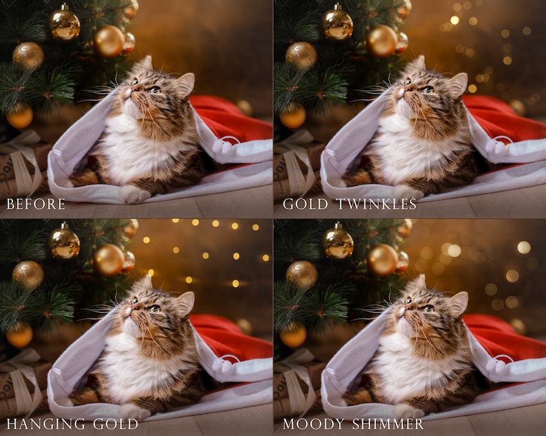 Professional photography overlays, bokeh overlays, subtle bokeh, simple bokeh, gold bokeh, overlay, filter, Christmas, little lights image 4