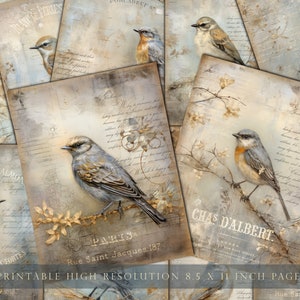 Aves vintage, hojas de diario basura, 8.5 x 11, imprimible, papel digital, efímero de aves, papel de álbum de recortes, pintura de aves, en mal estado, DESCARGAR