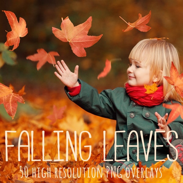 Falling leaves overlay, falling leaf overlays, fall leaves, autumn leaves, thanksgiving, overlay, overlays, photoshop, red, yellow, DOWNLOAD
