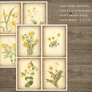 Yellow flower ephemera, floral junk journal, yellow flowers, daffodils, printable cards, home printing, junk journal sheets, cards, DOWNLOAD image 2