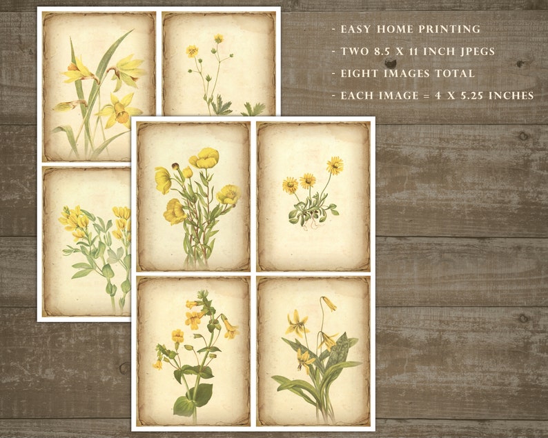 Yellow flower ephemera, floral junk journal, yellow flowers, daffodils, printable cards, home printing, junk journal sheets, cards, DOWNLOAD image 2