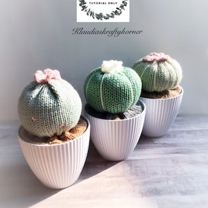 Knitting Machine Cactus Picture Tutorial PDF| Cactus How To Guide| Knitting Machine Pattern| Cactus Pattern| PDF Download Succulent Pattern