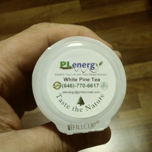 North Eastern Appalachian White Pine Tea PLenergy Pod - Keurig Machine - Organic - Wildcrafted - 1.25 oz + Digital White Pine Handbook