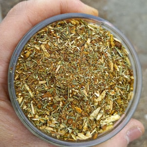 6 North Eastern Appalachian White Pine Tea - 100% Organic - Premium Gold - Wildcrafted - 4oz Mason Jars + FREE Digital White Pine Handbook