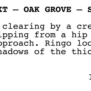May include: A scene from a movie script, with the text "EXT - OAK GROVE - SUN" at the top of the page. The text below describes a clearing by a creek, with someone sipping from a hip flask and Ringo looking at the shadows of the thicket.