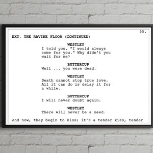 Princess Bride - Screenplay Movie Poster (up to 24&quot; x 36&quot;) - Westley - Buttercup - Dread Pirate Roberts - Love