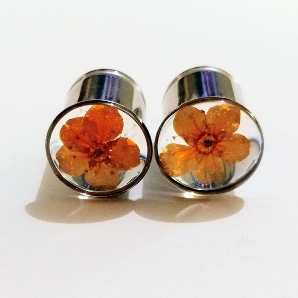 Bright ORANGE Real Dried FLOWER Girly PLUGS Gauges 0g (8mm) and 00g (10mm) single flare or double flare sold in pairs