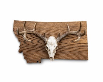 Montana Deer Skull Mount | Ready to Ship | 22” x 12.5” Ash Wood Wall Plaque | Espresso Finish | Rustic Hunting Decor | State & Skull