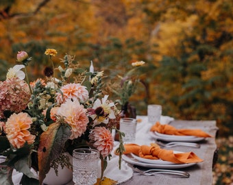 Burnt orange cloth napkins, Orange wedding table napkins, Fall table decor, Thanksgiving napkins, Home decoration