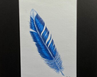 Original Art - Blue Feather in Colored Pencil