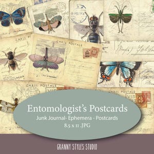 Junk Journal Stampe digitali Ephemera - Cartoline dell'entomologo