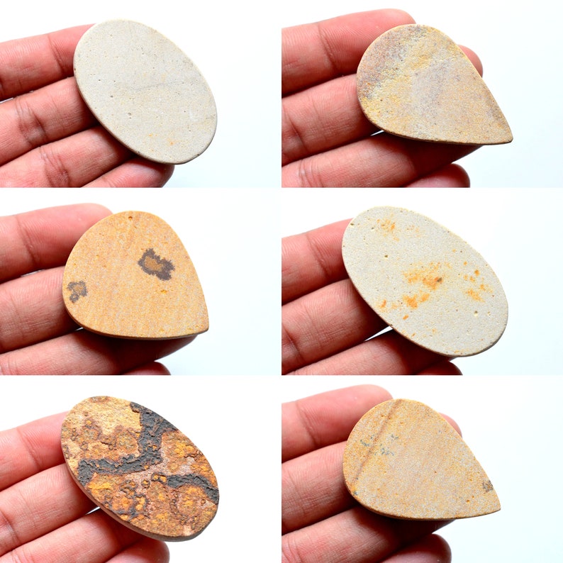 May include: Six different cabochons of fossilized wood, each with a unique pattern of brown and white. The cabochons are all pear-shaped or oval and are approximately 2 inches long.