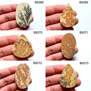 May include: Five different agate cabochons with a dendritic pattern in shades of brown, black, and white. The cabochons are shaped like teardrops and ovals. The cabochons are labeled with the numbers B9368, B9369, B9370, B9371, and B9373.