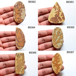 May include: Six different natural stone cabochons with a dendritic pattern in shades of brown, yellow, and white. The stones are all different shapes and sizes.