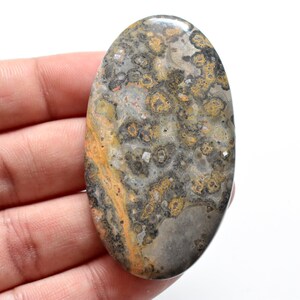64x36x4 mm Natural Leopard Skin Jasper, cabochon Gemstone, cabochon seller, cabochon gemstone, Jewelry making gemstone B9430