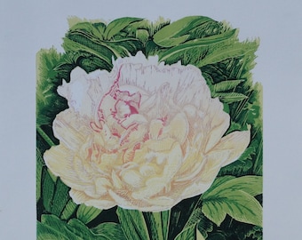 Flower For A Friend - reduction lino print, multicolour white peony linocut floral printmaking art