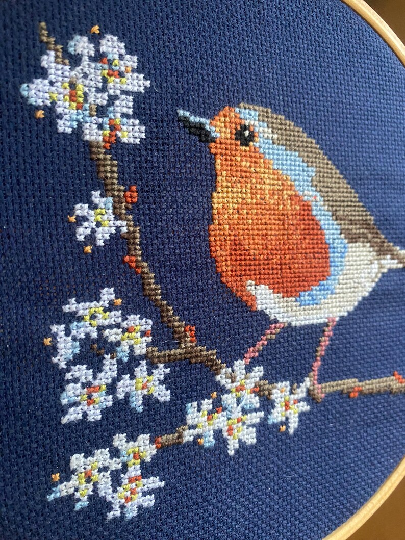 Red Robbin Pattern Robin Counted Cross Stitch Pattern - Etsy