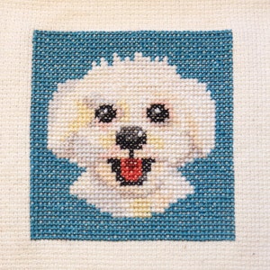 Patrón punto de cruz perro Bijon Frisé Descarga Instantánea