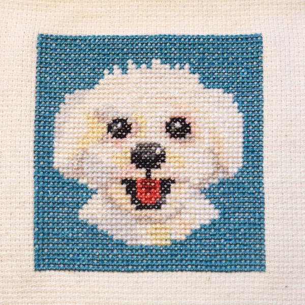 Bijon Frisé Hund Kreuzstich Stickmuster