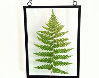 Beautiful Fern Wall decor Pressed fern frame Foliage home craft Rustic home decor Botanical art Mother's day gift Pressed flower frame